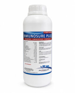 INMUNOSURE